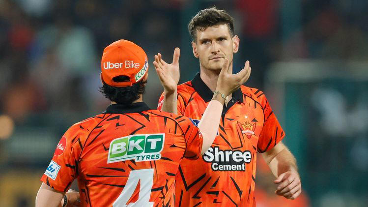 Sunrisers Hyderabad during an IPL match